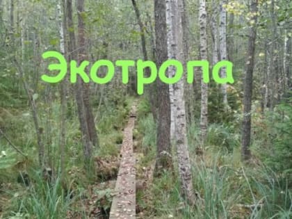 Ленобласть создаёт службу по обслуживанию экотроп