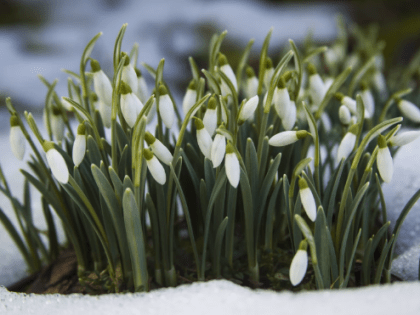Атмосферный фронт с дождями придет на смену солнечному антициклону в Ленобласти