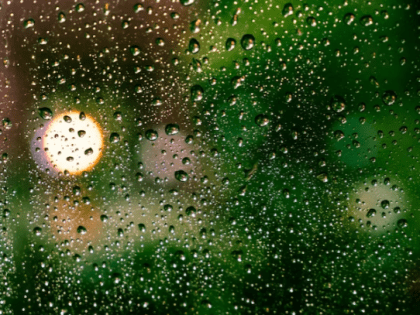 Дожди в Ленобласти продолжат идти до вечера 28 июля