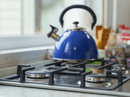 В Ленобласти по программе догазификации построено 25 тысяч газопроводов к участкам