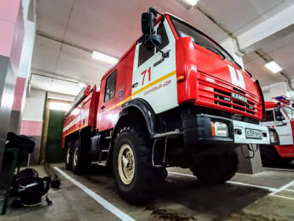 В Сосновом Бору сгорел автомобиль