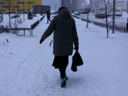 Разбойник ради сумочки распылил газ в лицо жительницы Ивангорода