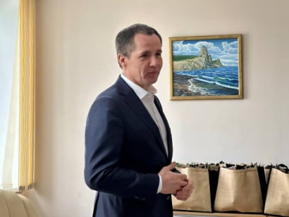 Обстрелами ВСУ повреждены десятки детсадов и школ в Белгородской области