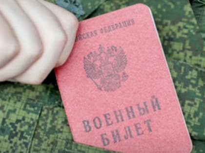 Петербургские депутаты хотят провести первый митинг в России против электронных повесток. Присмотрелись к Ленобласти