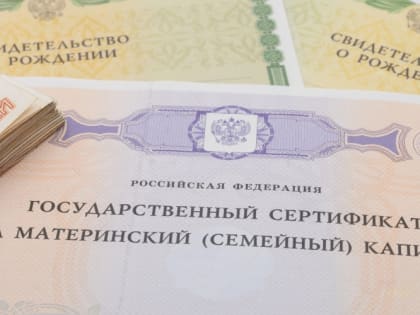 Многодетные семьи Ленобласти смогут тратить маткапитал на жилье сразу после рождения ребенка