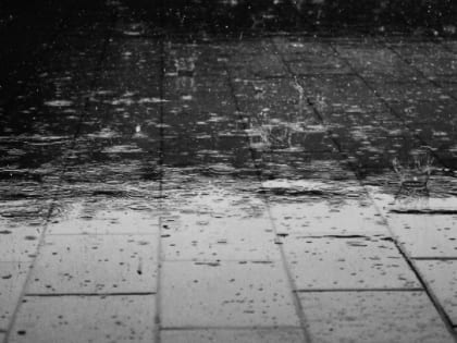 Прохладу и небольшие дожди пообещали жителям Ленобласти