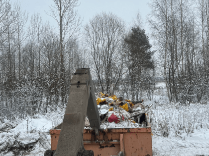 В районе ж/д станции «Туганы» под Кингисеппом ликвидирована свалка