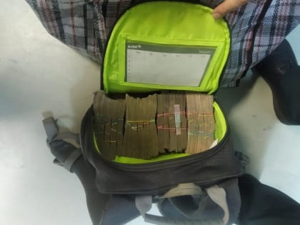 Украинцев с 9 килограммами гривен остановили на таможне под Псковом - фото