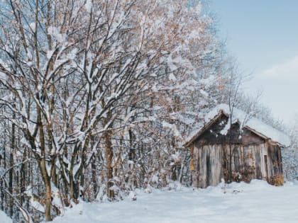 Осадки и оттепель: погода в Ленобласти 9 января