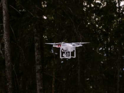 Использование дронов в Ленобласти официально запрещено