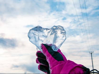 В Ленобласти десяток пар поженятся в День всех влюблённых