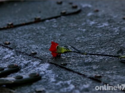 У памятника «Детям Беслана» в Петербурге организовали акцию ко Дню солидарности в борьбе с терроризмом