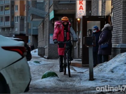 Циклон «Роберт» принес в Петербург туман и снег 11 февраля