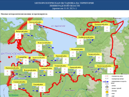 МЧС Ленобласти предупредило об усилении ветра и гололедице 9 февраля
