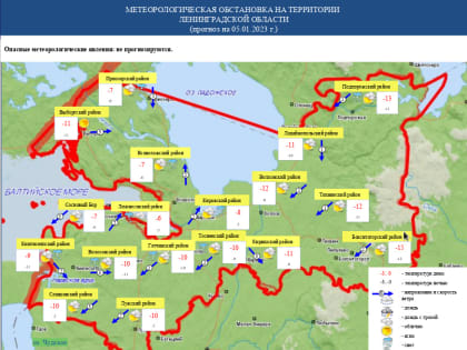 Небольшой снег и мороз до -16 градусов ожидают жителей Ленобласти 5 января