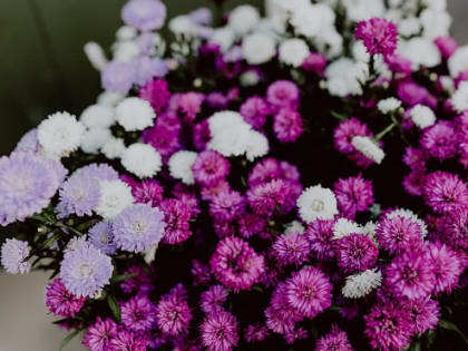 В пятницу жителей Ленобласти ждет умеренно теплая погода