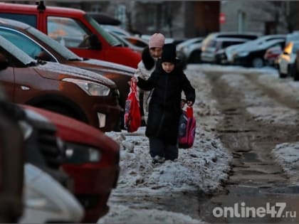 В Ленобласти 22 декабря потеплеет до +4 градусов