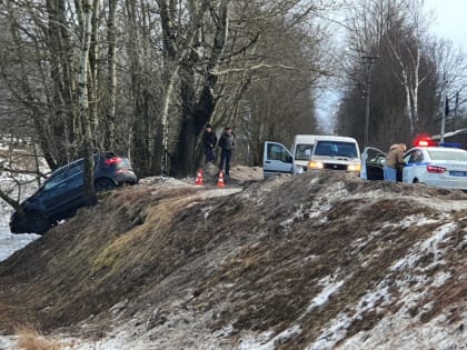 В Шлиссельбурге иномарка повисла на дереве и чуть не угодила в канал - фото