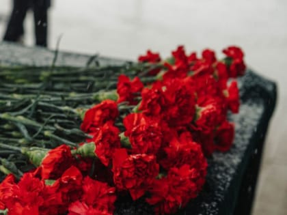 Обновления в области здравоохранения: новые инициативы и исследования