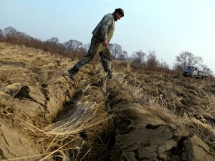 Воюйте отсюда. Ленобласть снимает штамп с земельных сертификатов