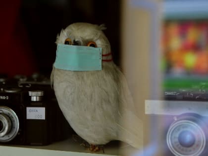 Еще 117 человек заболели коронавирусом в Ленобласти