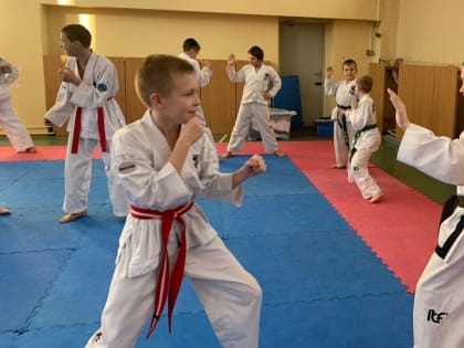 Выборгской федерации тхэквондо - четверть века