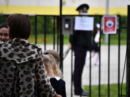 Школы в малонаселенных городах и районах России хотят обеспечить профессиональной охраной