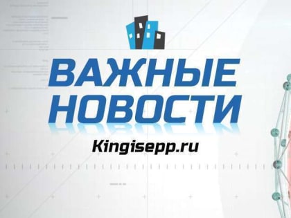 ВАЖНЫЕ новости Кингисеппского района 07.09.2023