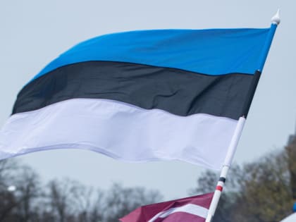 Президент Эстонии счел русский язык полезным