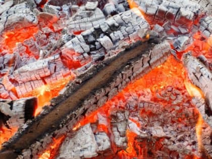 Погибшего нашли на пепелище частного дома под Ломоносовом