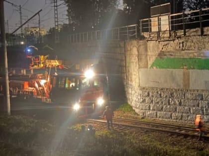 ОЖД назвала причину задержки электричек. Упало ограждение моста