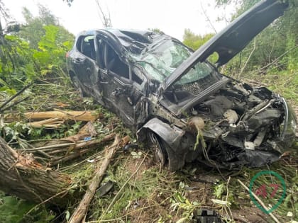 Под Усть-Лугой «француза» расплющило в кювете с людьми на борту (фото)