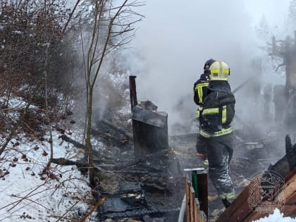 Пожар в д.Новопятницкое Кингисеппского района. Подробности ЧП