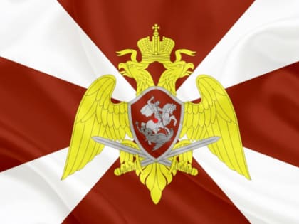 И Росгвардию - тоже. В Госдуме предложили наказывать за дискредитацию добровольцев структуры