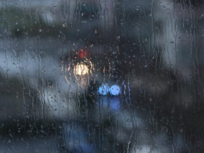 Дожди обрушатся на Ленобласть