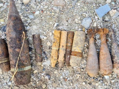 Рядом с деревней Низино нашли мины и артснаряды времён Великой Отечественной войны