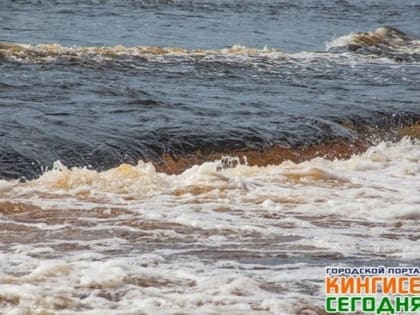 Роспотребнадзор одобрил только 12 водоемов для купания в Ленобласти