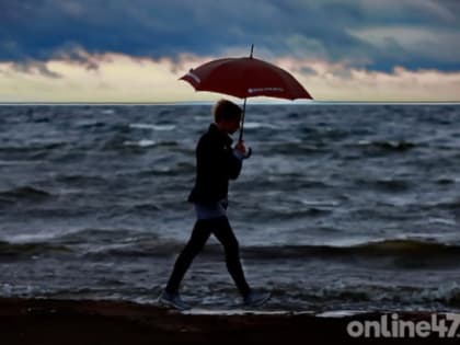 Жителей Ленобласти предупредили об усилении ветра и небольших дождях в среду