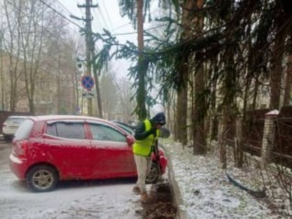 Падал весенний снег