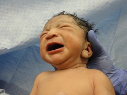 Рожденным за границей детям россиян гражданство предложили давать автоматом