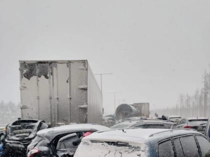 Более 40 автомобилей и 16 пострадавших: стали известны подробности массового ДТП на трассе М-11 «Нева»