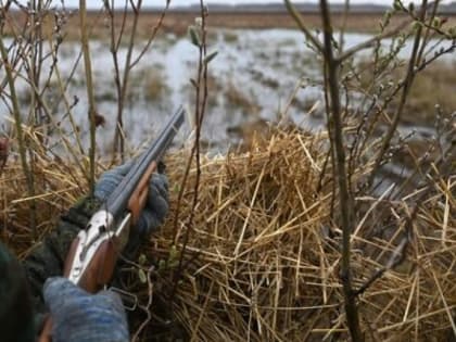 В Ленобласти с 15 апреля стартует сезон весенней охоты