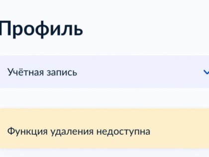 На «Госуслугах» пропала возможность удалить учетную запись