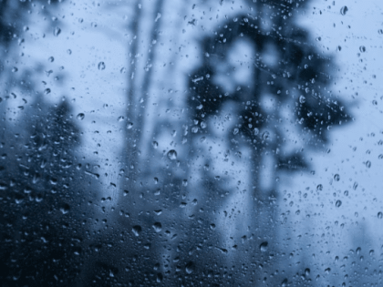 До +24 градусов прогнозируют синоптики в Ленобласти 26 июля