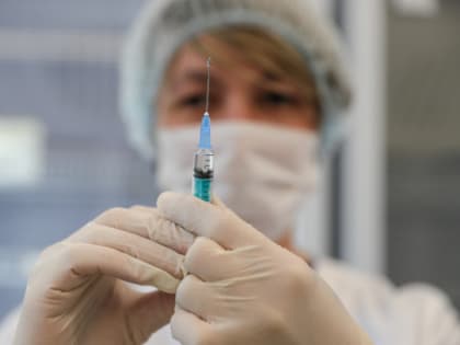 За две недели – почти тысяча укушенных. В Ленобласти число пострадавших от клещей приближается к 8 тысячам