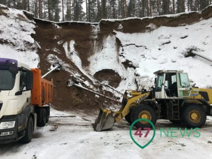 Под Приозерском поймали двух редких песчаных пиратов с техникой. Они устроили в лесу "закапуху" (фото)