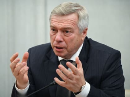 "Флаги, обнимашки тоже". Губернатор Ростовской области оценил отношение ростовчан к ЧВК "Вагнер" как "инсинуации"