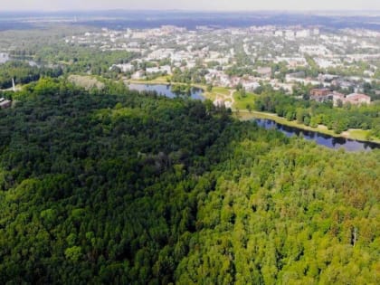 В Приоратском парке обследовали почти три тысячи деревьев