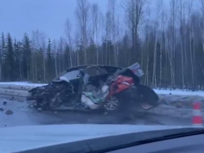 Легковушка превратилась в груду металла после столкновения с грузовиком на трассе "Скандинавия" под Выборгом