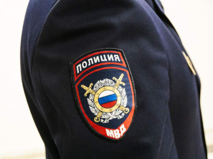 Кража и выходные навеселе. Что произошло в Сосновом Бору за минувшие дни